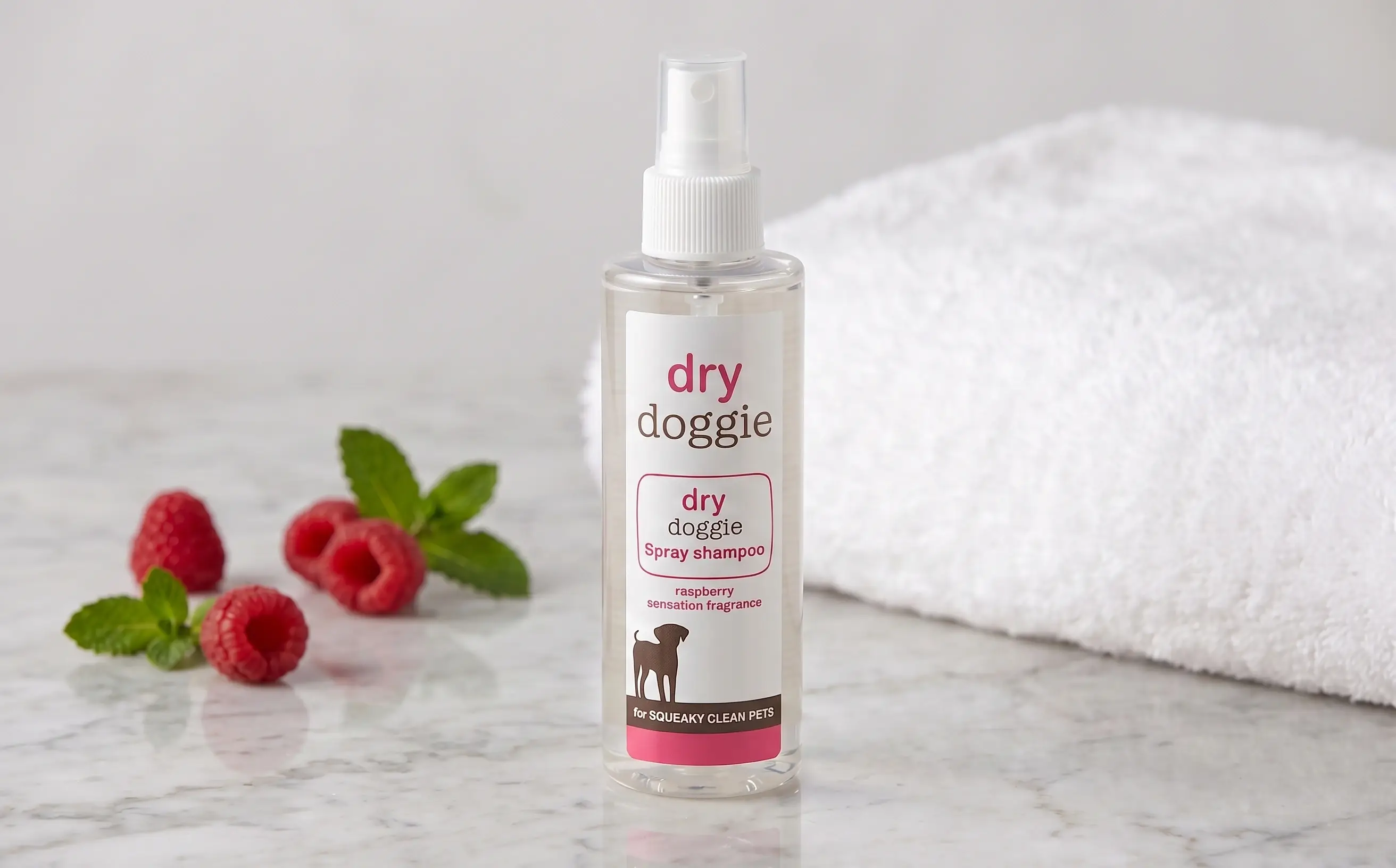 Shield Conditioner